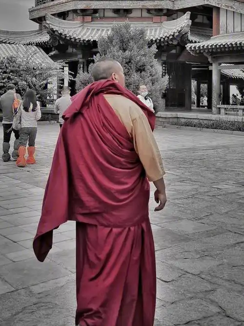 手机摄影出家人050505