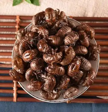 [蝉蜕批发]蝉脱中药材干蝉蜕 蝉壳 蝉退壳 虫脱 蝉衣 蝉蜕价格160.