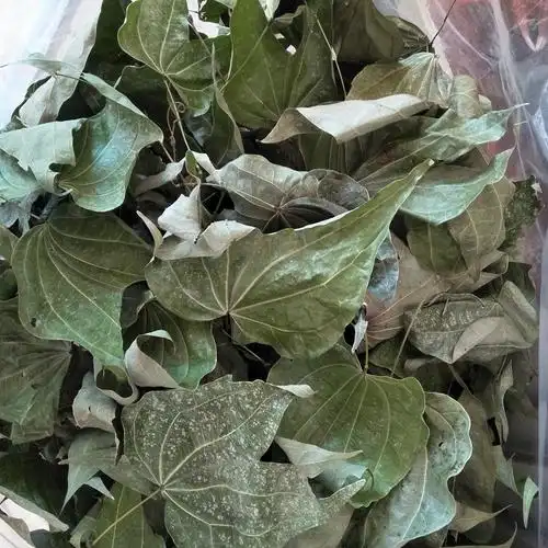 深山金巴酒原料原始森林金巴叶泡酒叶子根茎200g送金传统滋补品其他