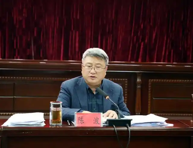 陈波出席会议并讲话