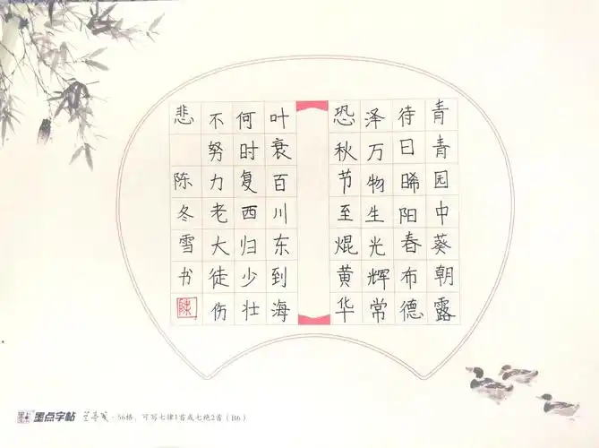 万冲中学"同讲普通话,携手进小康"学生硬笔书法作品网络展.