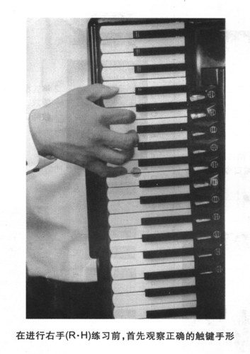 手风琴左右手触键形状