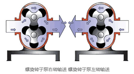 污泥转子泵 旋转活塞泵 正反转凸轮泵