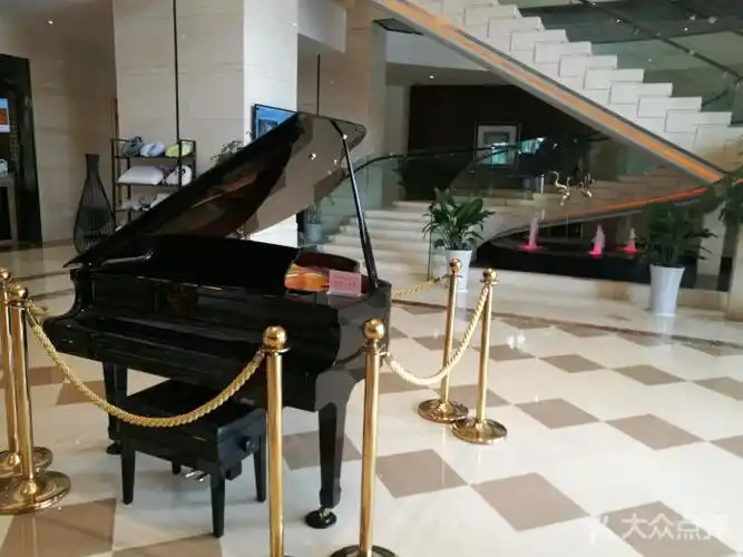 成都航宸国际酒店图片 - 第11张