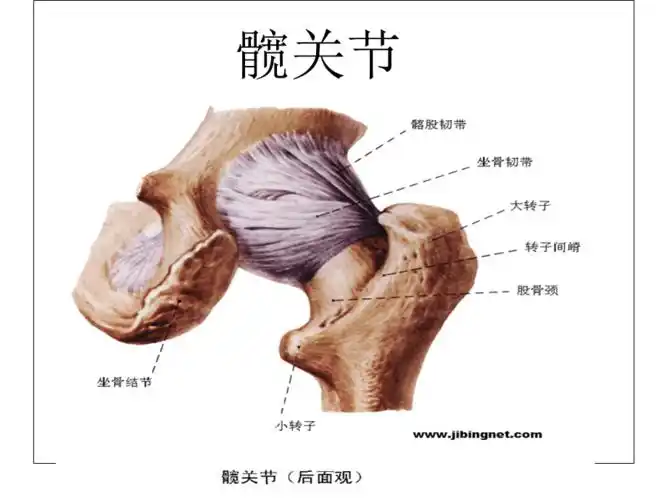 系解第二组实验讨论ppt