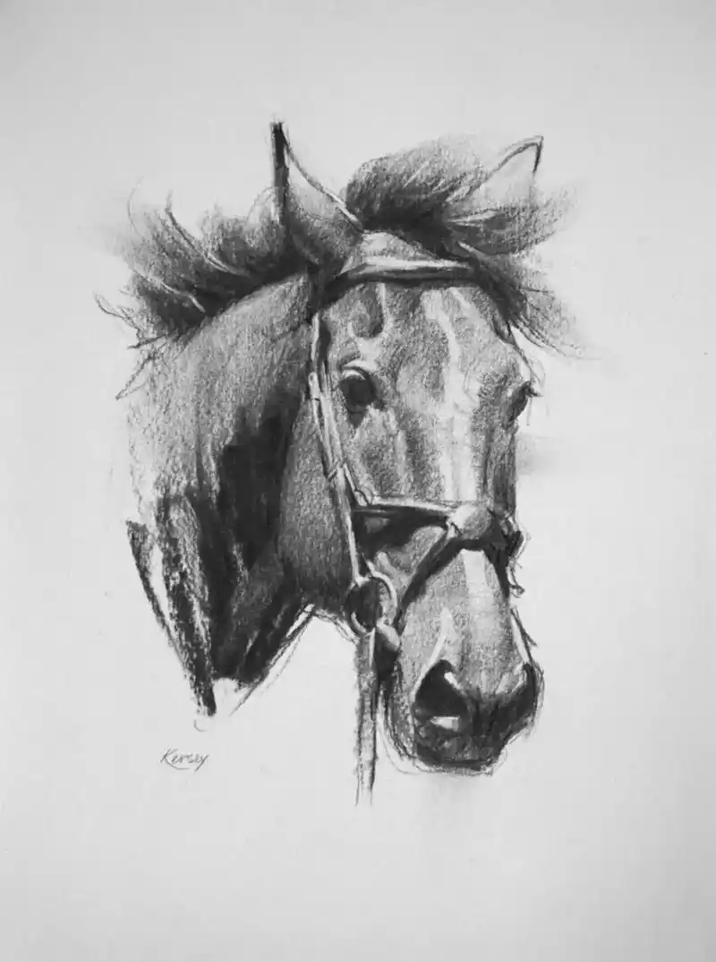 马到成功—— 劳里61克西～素描动物#素描动物#美术生#美术老 - 抖