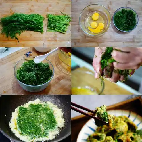 2,鸡蛋加盐打散,注意盐不要加太多,茴香还要加盐腌制.