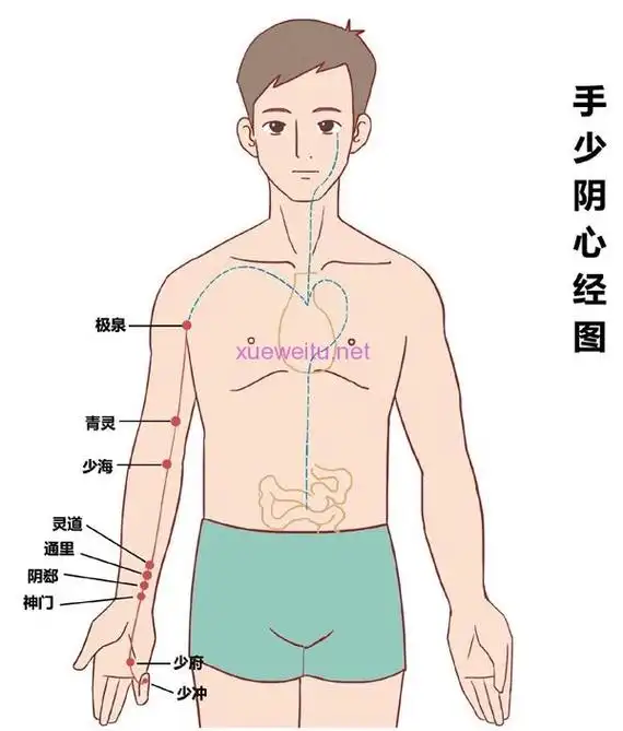 心经| 经络图解