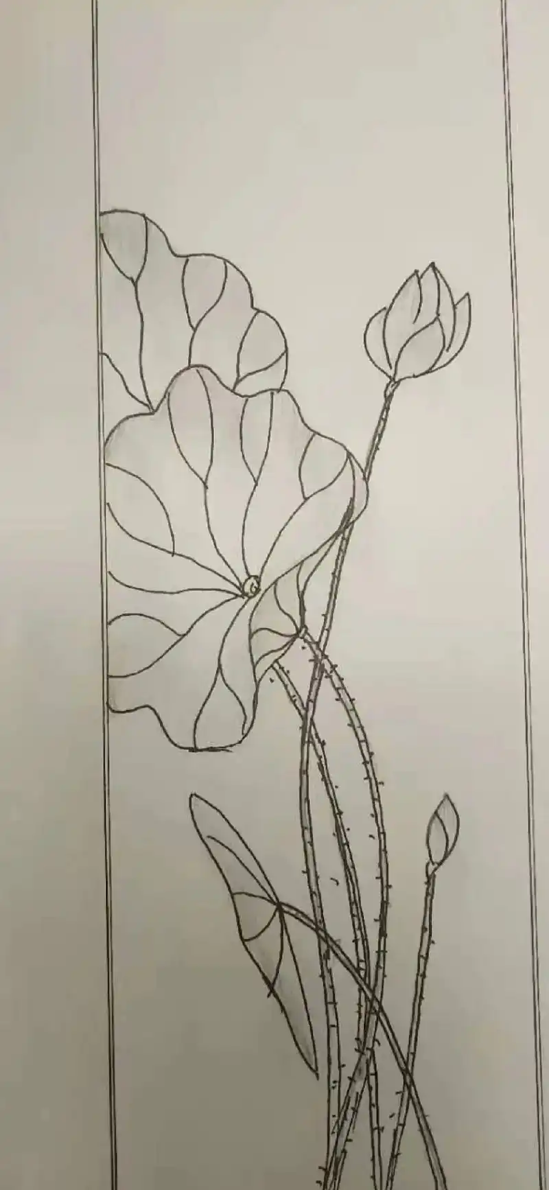 一花一净土,一花一清心#音乐分享 #铅笔画 #荷花 - 抖音