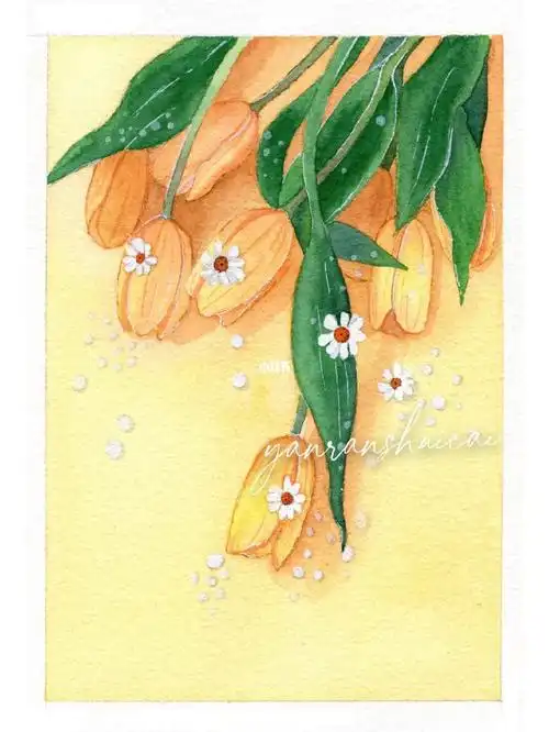 no28水彩手绘郁金香