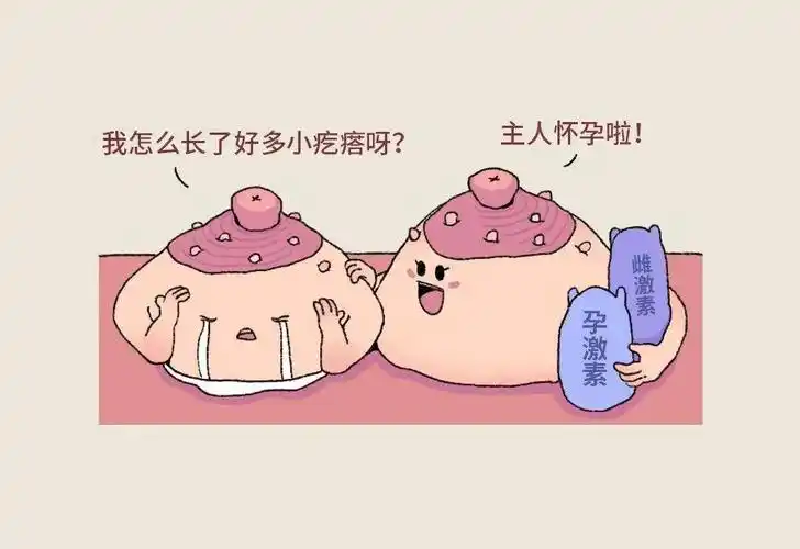 乳头旁边的小点点乳头痒得难以忍受,乳头乳晕(反复)出现了红疹子,甚至