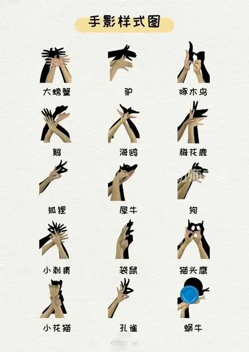 kiss baby微笑班––科学课《光和影子》