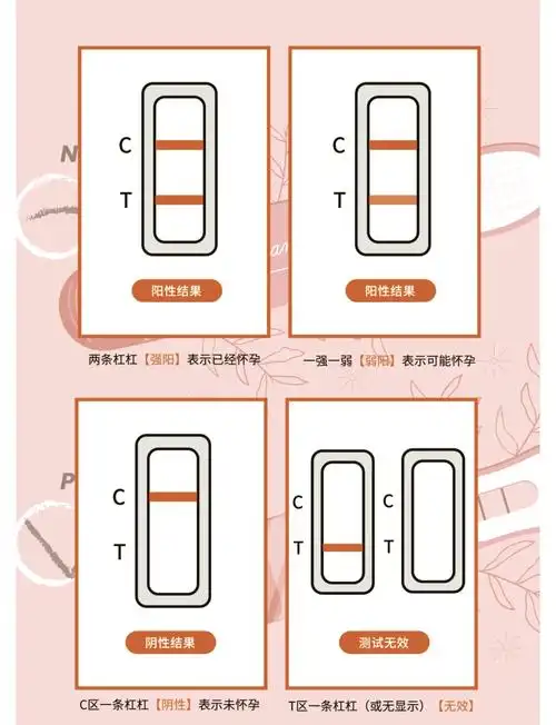最近好多小伙伴都在询问验孕棒的使用方法,今天就来给大家详细解答一