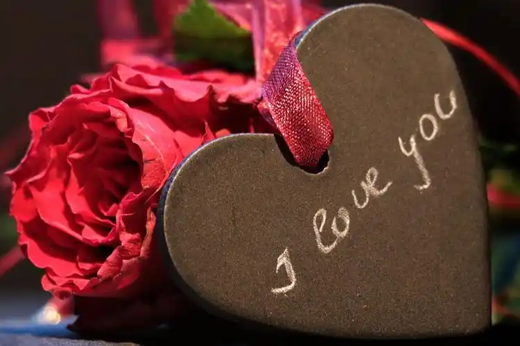 结婚纪念日温馨图片