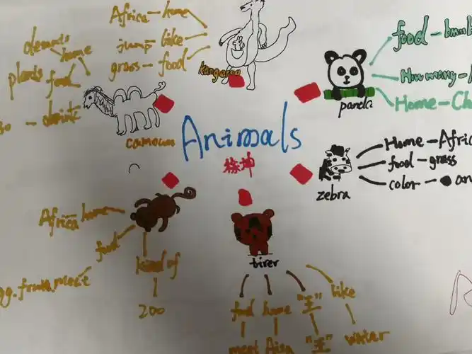 animals 单元导图优秀作业