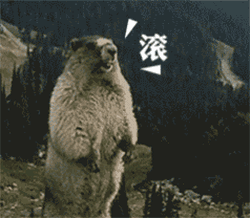 滚图片_滚动态图_滚表情包gif动图下载_soogif