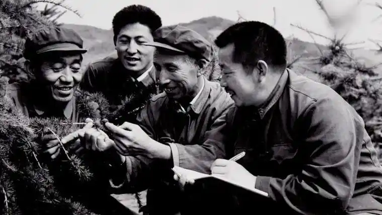 时政微视频丨瞰塞罕坝