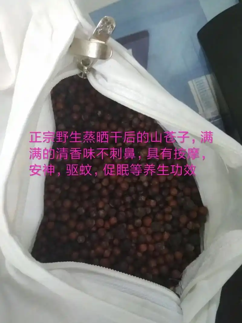 山苍子可当作枕头的填充物,具有祛风散寒,理气,消肿止痛,按摩 - 抖音