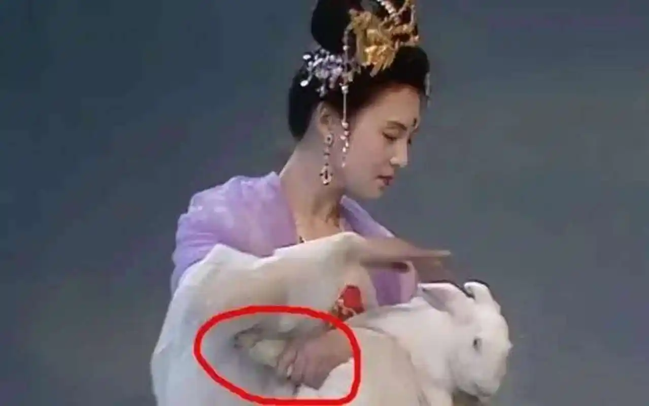 现在才知道,原来嫦娥是这样抱兔子的