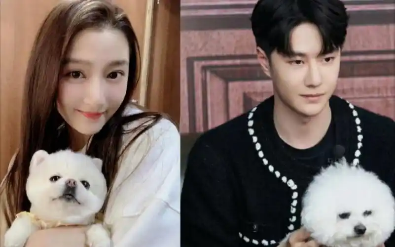 【王冠cp】【关晓彤王一博】我一个不到一千粉丝圈地自萌的小小博主