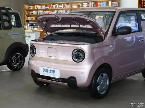 车_广州枫兴吉利几何用户中心优惠促销欢迎垂询4009973873】-汽车之家