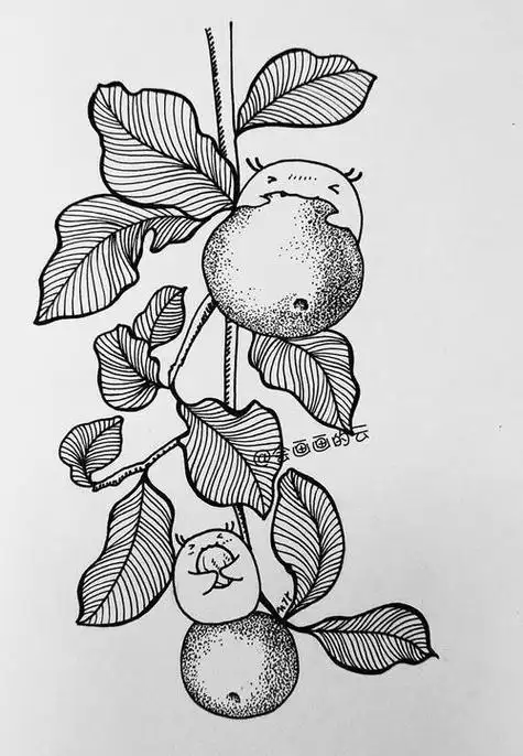 简笔画线描来啦今天给大家带来的是小白和可爱的小果果哦先看看完成