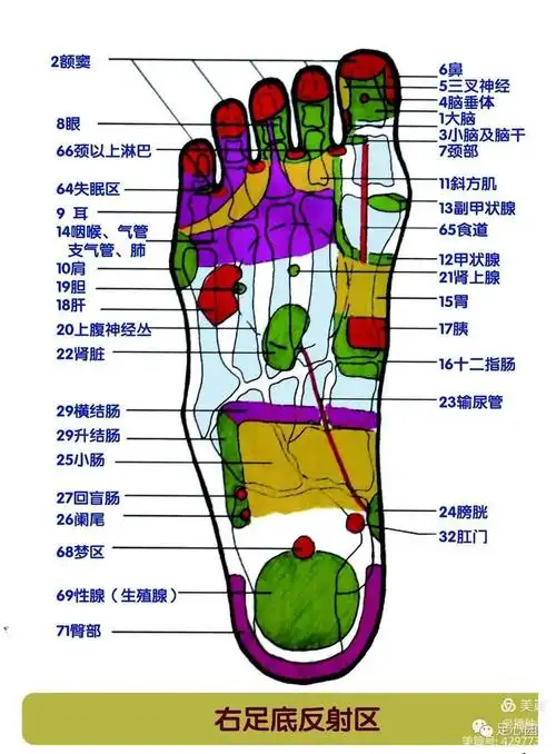 全息足反射疗法