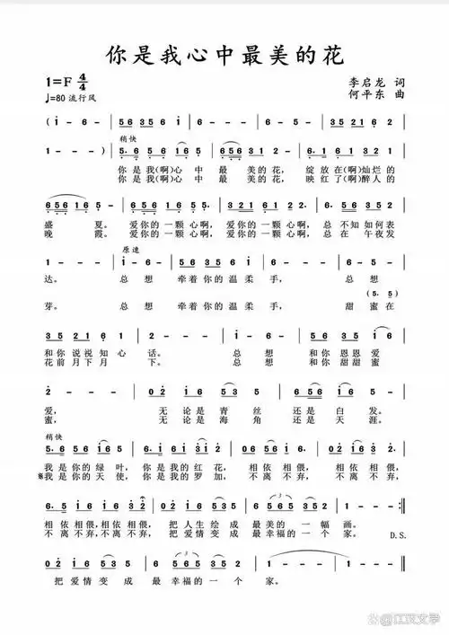 你是我心中最美的花(新歌发布)