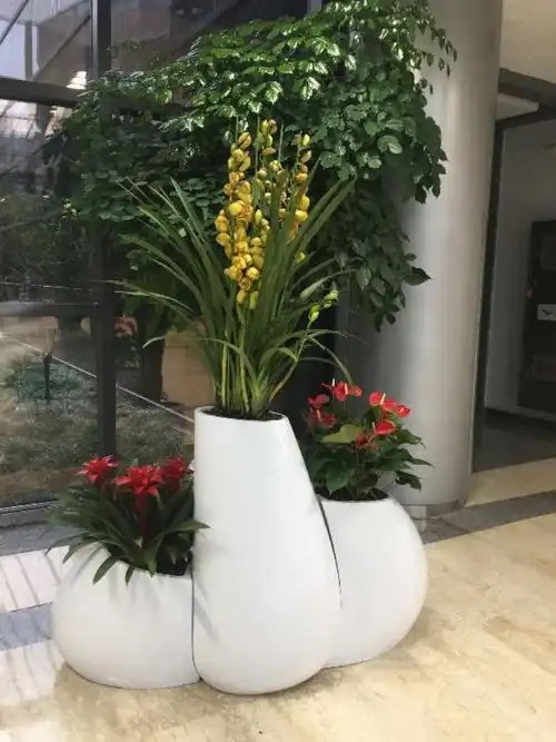 3处的绿植租摆均由我公司负责.