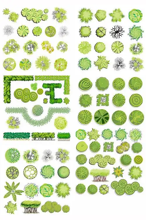 树木绿植景观装饰平面
