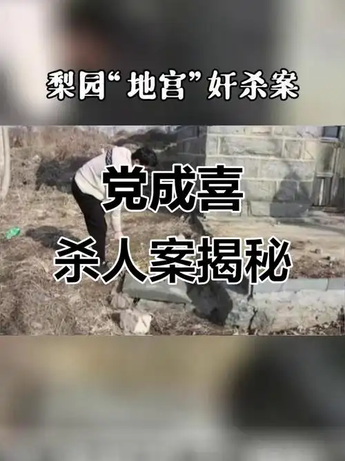 党成喜杀害三人后埋尸梨园,背后真相让人震惊
