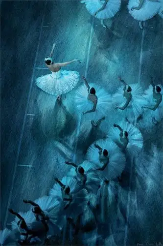 孤独的舞者——【 芭蕾 】