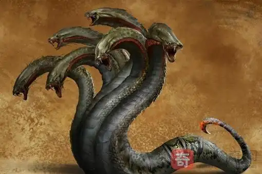 九头蛇是什么物种演变而成?为什么这样是怎么回事?