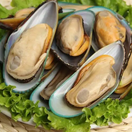 新西兰原装新鲜冷冻青口贝 冷冻海鲜水产 可生食 1kg/盒