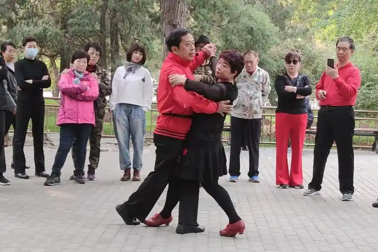 徐舞飞扬双人交谊舞慢四第一套第七节切步分解教学