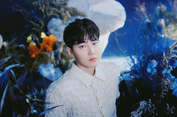 金俊勉  #suho金俊勉  #exo  #金俊勉solo2