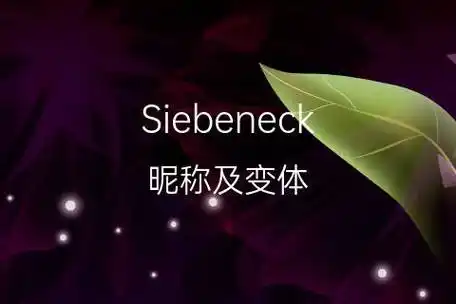 siebeneck历史出自英语,这个名字在国外超级流行!sie