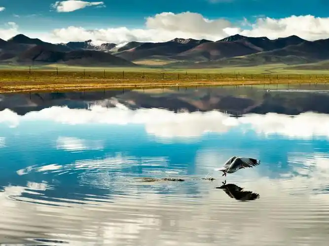 青海青藏高原 美丽的风景壁纸2 - 1600x1200