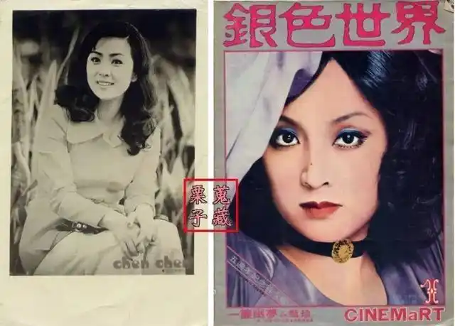 台湾第一玉女谢贤第一任妻子与前夫做了28年假面夫妻