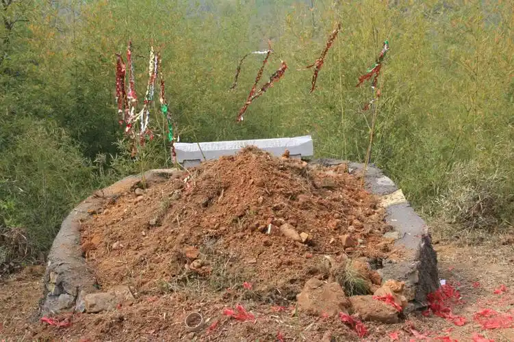 今年清明为爷爷奶奶立碑