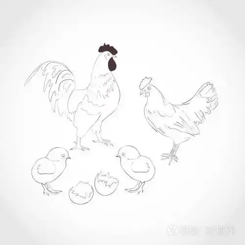 公鸡母鸡小鸡浅色背景上的深色图案素描