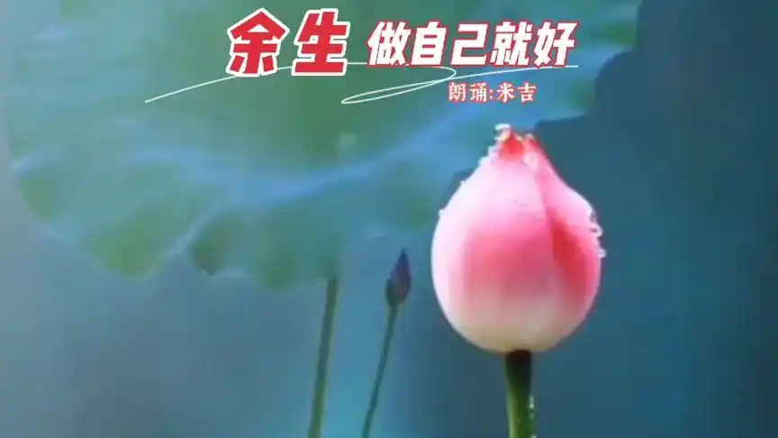 余生,做自己就好