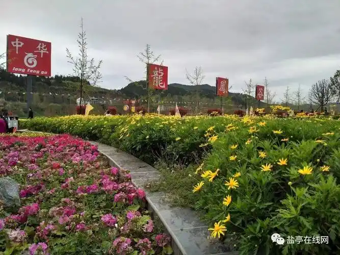 盐亭的这个地方越来越漂亮啦 中华龙凤谷一日游