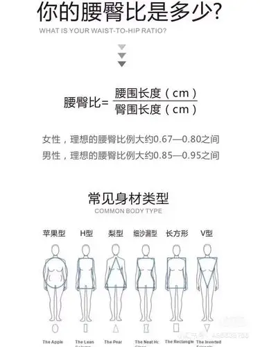 腰臀比0.7_腰臀比_运动健身_运动健身其他
