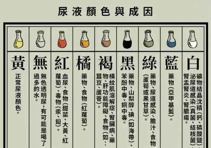 ④棕色:呋喃妥因,甲硝唑⑤蓝-绿色:食物色素,铜绿假单胞菌尿路感染