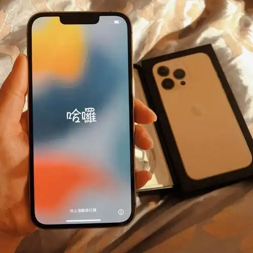 喜提十三香iphone13pro