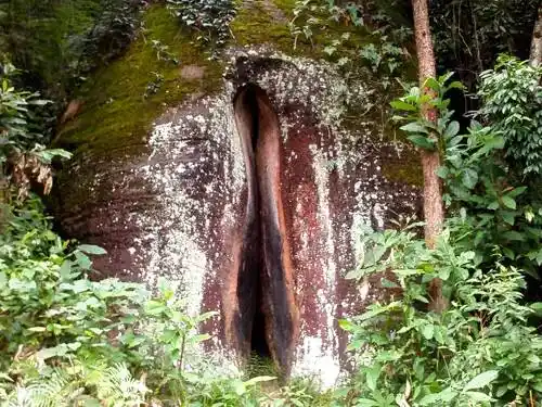 6月起,广东这个最美的景区放大招了!考生免费,广深莞居民半价!