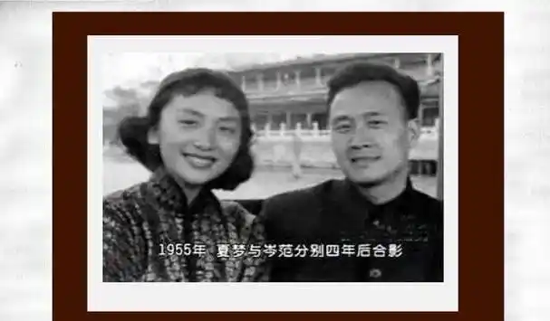 她一生无绯闻,与爱人相守53年:比起美貌他的智慧更出众_夏梦_林葆诚