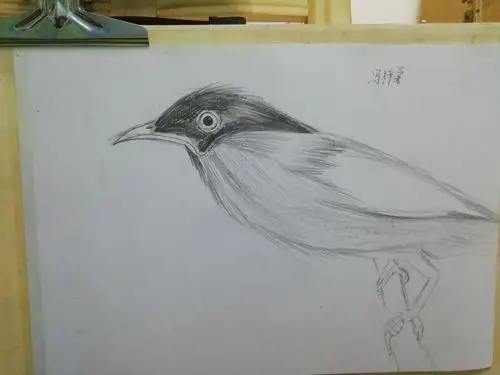 稚蕊儿童画坊素描班之趣味动物素描