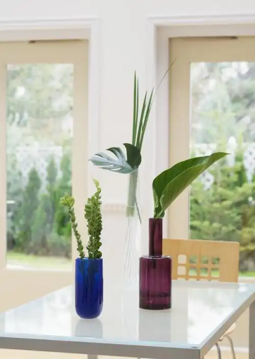 室内花草图片第144张